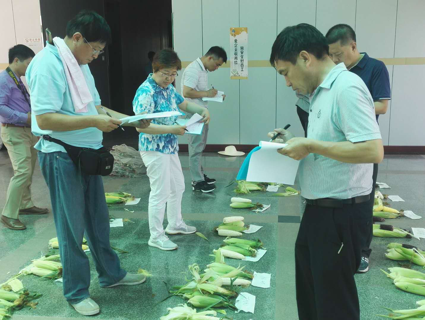 荃银瓜菜强势进军鲜食玉米产业